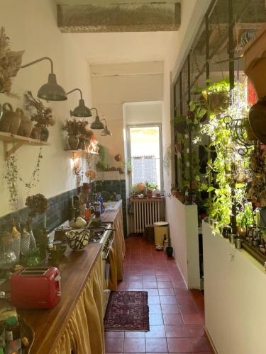une cuisine avec beaucoup de plantes sur le mur dans l'établissement Le Chapitre, à Nîmes