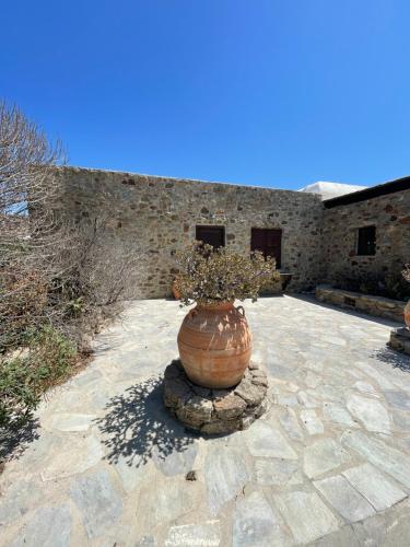 a large vase with flowers in it on a stone patio at Agrari Village Apartment Mykonos in Agrari