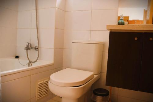 a small bathroom with a toilet and a shower at HOM I Studio en Valle Nevado Valle Condores 1 in Lo Barnechea