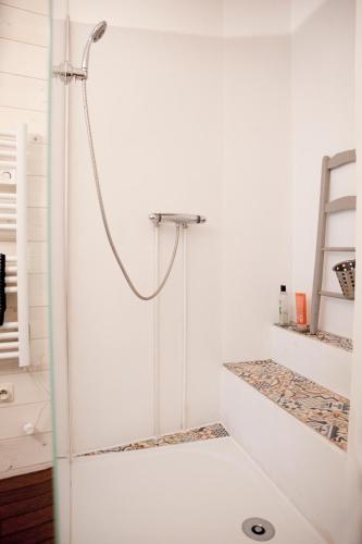 a shower in a white bathroom with a glass door at Les Groseilliers in Moyrazès
