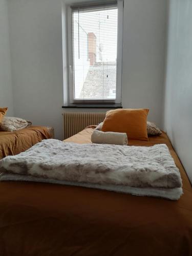 une chambre avec deux lits et une fenêtre dans l'établissement Appart Terrasse, à Strasbourg