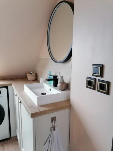 une salle de bain avec un lavabo et un miroir dans l'établissement Appart Terrasse, à Strasbourg