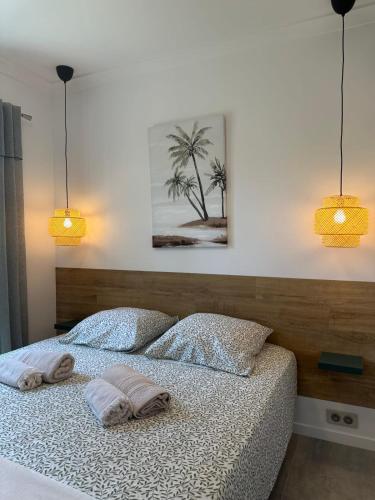 - une chambre avec un lit avec deux oreillers et deux lumières dans l'établissement The little house on the Isle air-conditioned house with swimming pool and, à LʼIsle-sur-la-Sorgue