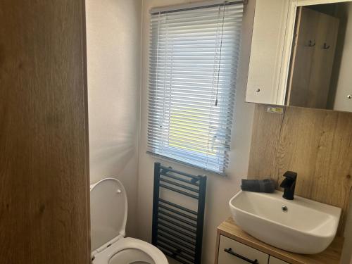 Koupelna v ubytování Hafan y Mor Park 3-Bed Caravan Sleeps 8 Pets Ok