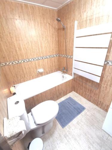 a bathroom with a toilet and a sink and a shower at Gregorys Poolside Villa in Sucina