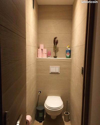 a small bathroom with a toilet and some towels at APPARTEMENT T3 65 m2 HAUT STANDING in Basse-Yutz