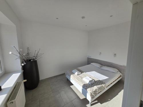 Φωτογραφία από το άλμπουμ του Artel Villa Tarsis σε Kołobrzeg
