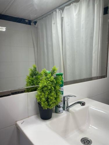 Koupelna v ubytování leveilat suite