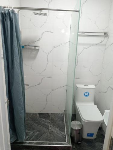 a bathroom with a shower and a toilet in it at Abubakir Guests House in Samarkand