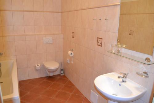 a bathroom with a sink and a toilet at Penzion Nad Oborou in Hradec Králové