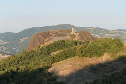 a house on top of a hill with trees at Typical house in Trebbia Valley in Cella