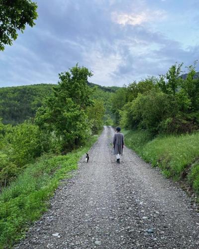 a man and a dog walking down a gravel road at Typical house in Trebbia Valley in Cella