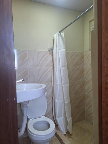 a bathroom with a toilet and a sink and a shower at Apartamentos En Edificio Amapola Zona Colonial Malecón in Santo Domingo
