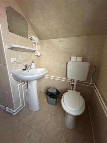 a bathroom with a toilet and a sink at PENSIUNEA KELEMEN in Praid