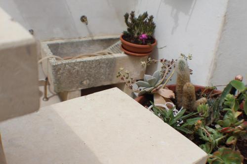 a bunch of potted plants sitting next to a sink at Monolocale Garden in Giuggianello