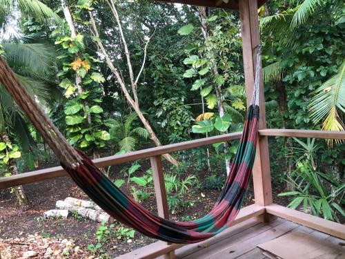 a hammock on a porch in a garden at Stunning Jungle Refuge Close to Town in Bullet Tree Falls