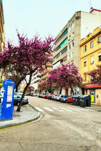 Vintage apartment climatizado