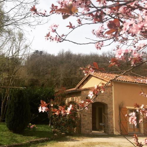 a house in the spring with pink flowers at Le Chat Blanc Gîte in Versols-et-Lapeyre