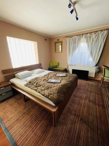 a bedroom with a large bed and two windows at GreenPark Candy Apartments with Large Garden Close to Tokaj in Bekecs