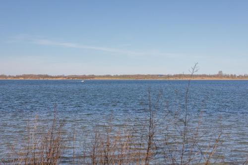 a large body of water with weeds in the foreground at Ferienhaus Rügenblick in Stahlbrode