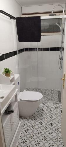 a bathroom with a shower and a toilet and a sink at Levendulás Ház Balatonakarattya in Balatonkenese