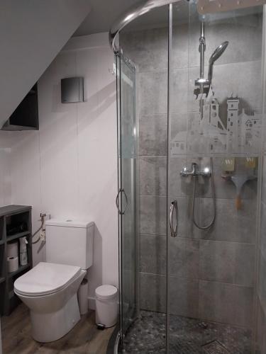 een badkamer met toilet en glazen douche bij La petite cabane du pecheur in Honfleur