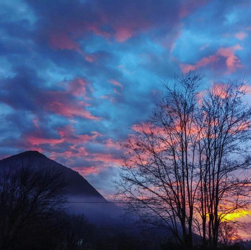 a sunset with a mountain in the background and a tree at Le Chat Blanc Gîte in Versols-et-Lapeyre