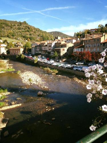 a river with a bunch of flowers in a town at Le Chat Blanc Gîte in Versols-et-Lapeyre