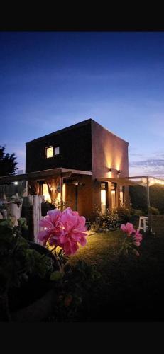 Aed väljaspool majutusasutust Tiny House en Playa Dorada