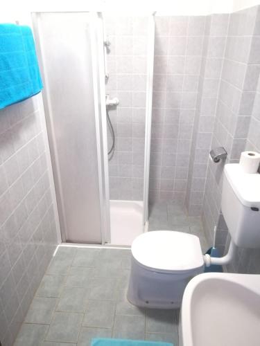 a small bathroom with a toilet and a shower at Frühstückspension See-Panorama in Podersdorf am See