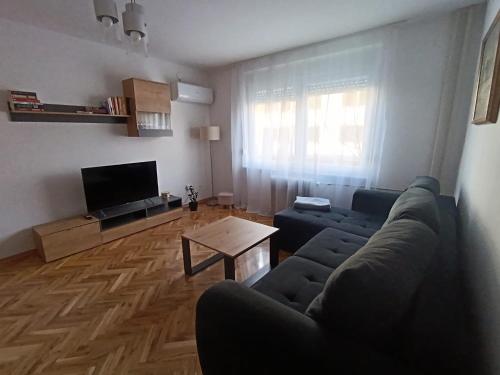 TV a/nebo společenská místnost v ubytování Apartman Martan
