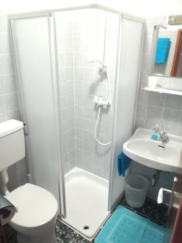 a bathroom with a shower and a toilet and a sink at Frühstückspension See-Panorama in Podersdorf am See