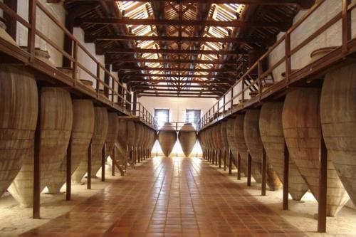 a long hallway of a winery with wooden barrels at Hostal Valdepeñas by Bossh! Hotels in Valdepeñas