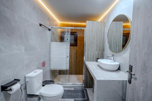 a bathroom with a toilet and a sink and a mirror at Villa KONTOULIS in Kalabaka