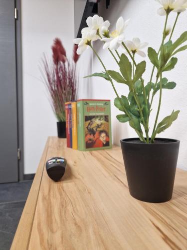 a table with a book and a potted plant on it at Magisches Wachstein in Wachstein