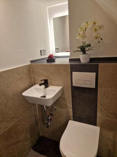 a bathroom with a sink and a toilet and a mirror at Magisches Wachstein in Wachstein