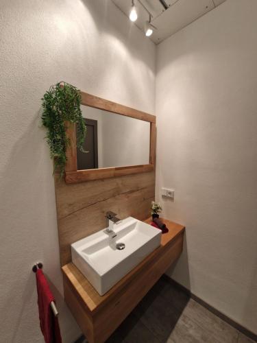 a bathroom with a white sink and a mirror at Magisches Wachstein in Wachstein