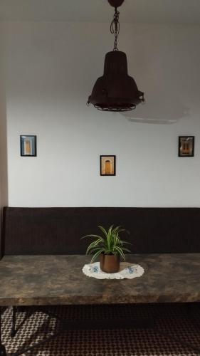 a table with a potted plant on top of it at Cuarto Antolín Yellowdoor in Ponferrada