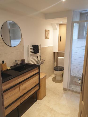 une salle de bain avec un lavabo et des toilettes dans l'établissement Maison de campagne, à Saint-Hilaire-de-Brethmas