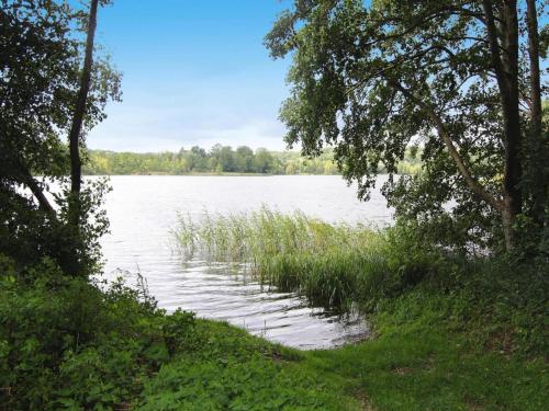 a view of a lake with grass and trees at Ferienhaus in der Feldberger Seenlandschaft in Wrechen