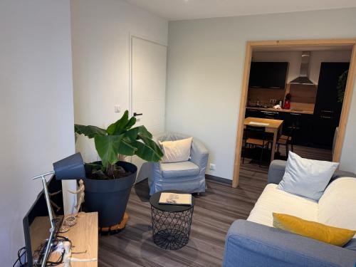 un salon avec un canapé bleu et une plante dans l'établissement La maison de Jean, à Saint-Flour