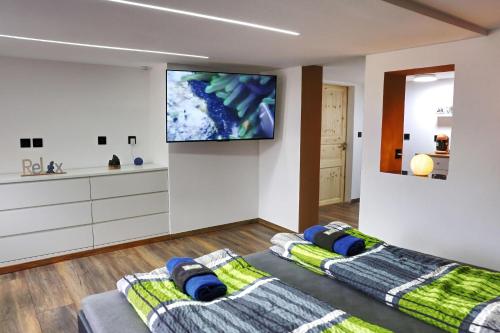 a living room with two beds and a flat screen tv at Ferienapartment Zur guten Quelle in Bad Liebenstein