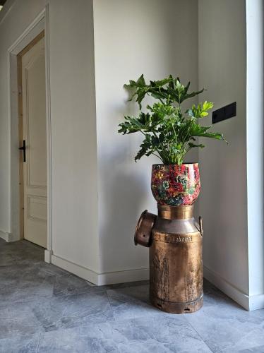 a plant in a pot in a hallway at B&B it Arbeidershûske in Ferwoude
