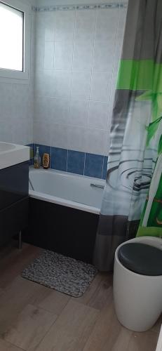 La salle de bains est pourvue d'une baignoire, de toilettes et d'un rideau de douche. dans l'établissement Chambre d'Hôte Arcachonnaise 41, à Arcachon