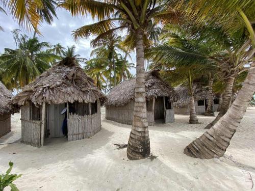 a group of huts on the beach with palm trees at SAN-BLAS ISLA IGUANA Panamá in Playón-Chico