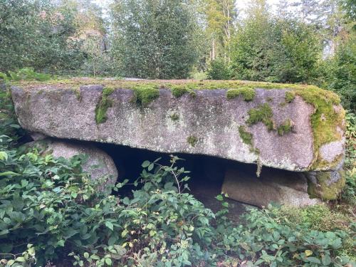 Фотография из галереи Idyllisches Häuschen im Grünen в городе Вайдхаус