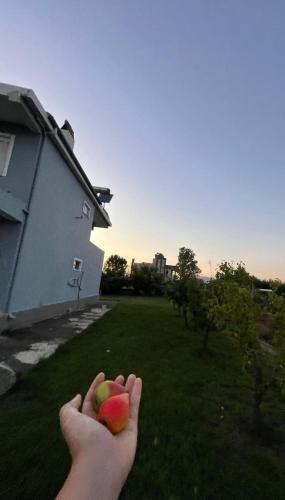 ヴィラの近くで見られる自然の景観