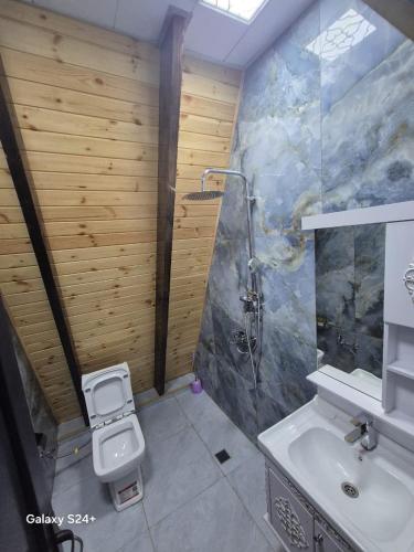 ein Badezimmer mit Toilette und Waschbecken in der Unterkunft BUTAWAY Homes in Qəbələ