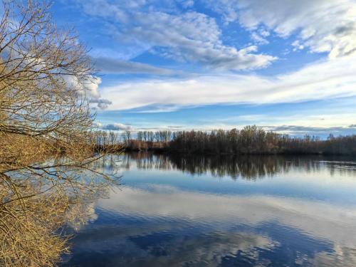 a view of a lake with trees and clouds at Gästehaus Zimmer #5 Jülich in Jülich