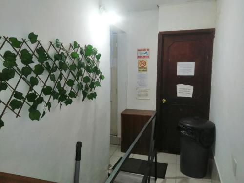 a plant on the wall next to a door at A 5 minutos GNP Hostal Foro Sol Palacio Deportes Aeropuerto A PET FRIENDLY se aceptan mascotas bajo peticion in Mexico City